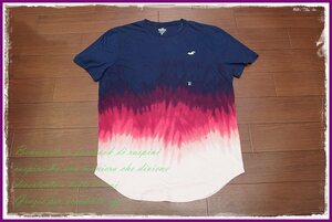 Hollister グラデーション ワンポイント刺繍 Tシャツ 半袖/XL/ネイビー　ピンク/メンズ ホリスター アバクロ カットソー a&f