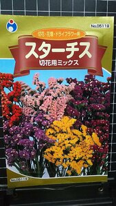 ３袋セット スターチス 切花用 ミックス 種 郵便は送料無料