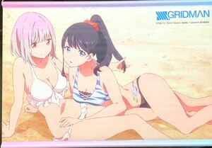 SSSS.GRIDMAN 水着 B2タペストリー 宝多六花＆新条アカネ アクアマリン 美少女 グリッドマン グッズ N4