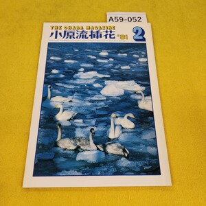 A59-052 小原流挿花 1981年2月号 竹雲斎の肴籃に/新しい傾向の取合せ他 小原流文化事業部 傷汚れあり、記名塗りつぶしあり。