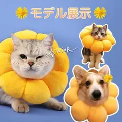 即購入可✨柔らかい エリザベスカラー 猫 犬 ペット用品　かわいい