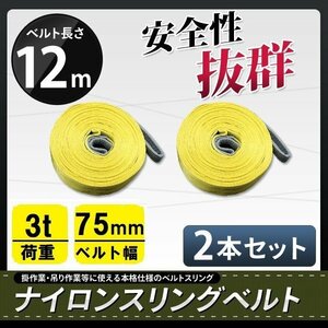 ★送料無料★ ナイロンスリングベルト 12ｍ×3000kg（3ｔ）×幅75mm ■2本セット■ 荷揚げ 吊り上げ 吊り下げ 玉掛け運搬に!