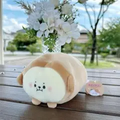 ぬいぐるみ　置物　飾り　新品未使用　ほほむぎゅ　むぎゅぬい　さる　サル　猿　動物