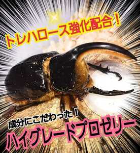 産卵促進に抜群！特選ハイグレードプロゼリー【200個】生殖能力の要になるガラクトース強化配合！長寿・体力増進にも抜群！　昆虫ゼリー