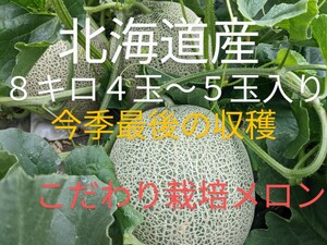 北海道産赤肉メロン８キロ　5玉〜4玉入り　Ｍ‐4