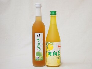 優勝セール!フルーツなお酒福袋セット（日向夏リキュール、うめとろ）500ml×2本