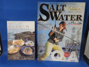 中古 ソルトウォーター ２００４年１１月号 全国エリア別岸釣りターゲット攻略法 秋～冬編 付録 おいしい釣魚料理入門あり 初版