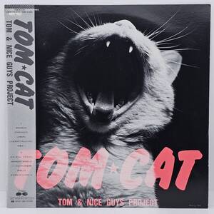 LP レコード 帯付き 美盤 / Tom★Cat トム・キャット / Tom & Nice Guys Project / Aard-Vark C28A0415