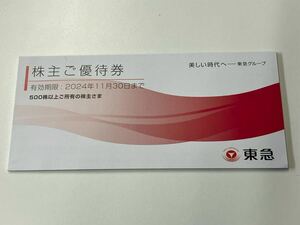 東急株式会社　株主ご優待券 有効期限：2024年11月30日まで　東急　株主優待 