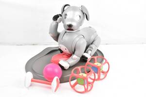 ソニー アイボ ERS-1000 黒ごまエディション 限定モデル アイボーン サイコロ aibo首輪 AIBO 犬型 ロボット ITQIAW61461M-YR-J140-byebye