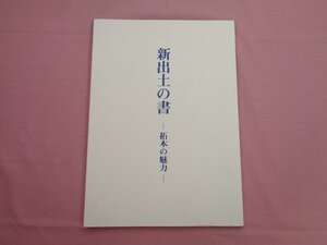 ★図録 『 新出土の書 - 拓本の魅力 - 展 』 近代書道研究所 謙慎書道会