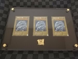 シク 青眼の白龍 ３枚 ケース付き シークレット secret ブルーアイズ・ホワイト・ドラゴン 初期絵 遊戯王 yu-gi-oh Blue-Eyes White Dragon