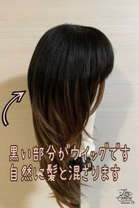 　ヘアピース　人毛100％　トップつむじカバー　艶髪　ストレート　部分ウイッグ　２０　黒色　ブラック　ストレート　