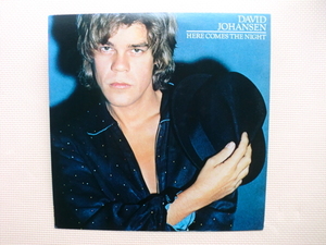 ＊【LP】 DAVID JOHANSEN／HERE COMES THE NIGHT（25AP2104）（日本盤）