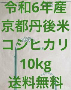 送料無料 新米 令和6年度産 京都 丹後 コシヒカリ 玄米 10kg