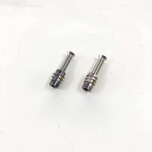 ストラップピン 補強 ２本セット アンカーボルト タイプ２ギター ベース 小頭 M4x20mm