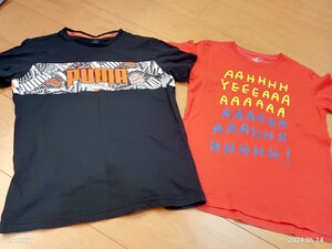 美品！Tシャツ！半袖！プーマ！puma！160！ユニクロ！Jason polan！150！激安(^^)