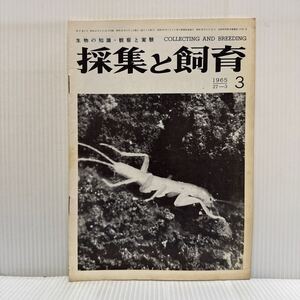 採集と飼育 1965年3月号★千葉県神川産植物化石/ハリセンボン雑記/アカイカタケ 愛知県での記録/ガロアムシ/生物の知識・観察と実験/動植物