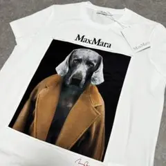 ☆2024FW 新作☆ 新品未使用 Max Mara ピュアコットン  Tシャツ