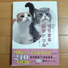 もちまる漢字ドリル ゆるっと学び直し