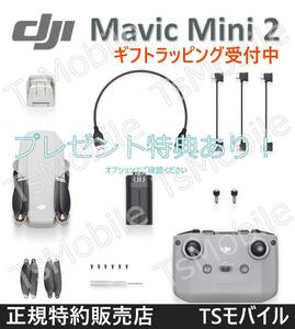 DJI Mavic Mini2 マビック ミニ2 小型 DJI 4Kカメラ付き ドローン【賠償責任保険付】技適マーク 200g未満 TSモバイル GPSmicroSDカード対応