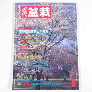 月刊 近代盆栽 No.150 1990/4 近代出版 雑誌 盆栽総合誌 園芸 ガーデニング 植物 特集・髙木盆栽美術館 64回国風盆栽展 ほか