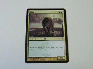 MTG 美品 【番狼】 （アンコモン） RAV 日 1枚迄