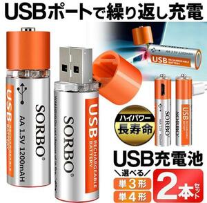 充電器・充電アダプタ不要USB充電池 2本セット(単４充電池)