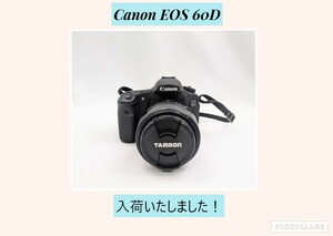 Canon EOS 60D TAMRON Di II 18-270mm F/3.5-6.3 デジタル一眼レフ デジタルカメラ 光学機器 キャノン 簡易動作確認済 33j-7-1