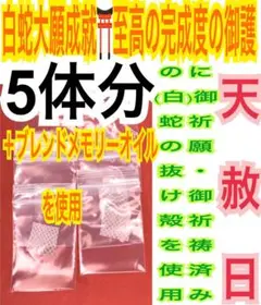 5枚✨開運✨仕事運✨金運✨財運✨蛇の抜け殻✨白蛇のお守り【天赦日ご祈祷済み】AB