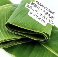 生BANANALEAVE。バナナ葉1kg約。ホムデンおまけ