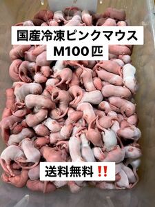 国産冷凍ピンクマウスM 100匹 大きめ多数。北海道、沖縄及離島発送不可