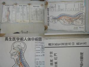 AKa6761◆隼◆ヴィンテージ　人体図　ポスター①　３枚セット　旧家蔵出骨董初だし