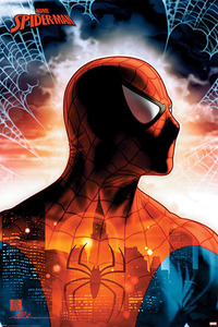 ■『スパイダーマン/Protector of the city』のポスター■