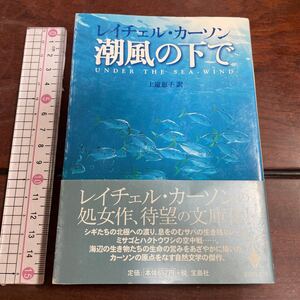 潮風の下で （宝島社文庫） レイチェル・カーソン／著　上遠恵子／訳