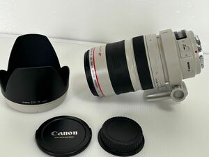 Canon キャノン EF 35-350mm 1:3.5-5.6 L ULTRASONIC USM ズームレンズ カメラレンズ