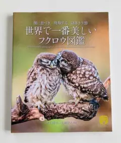 世界で一番美しいフクロウ図鑑