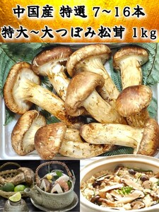 中国産 L~2L特大 特選品【天然 つぼみ 松茸 約1kg】 本数 7～16本 お中元 土瓶蒸し 松茸ご飯 暑中見舞 残暑見舞い 誕生日祝 還暦祝