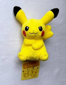 未使用品　ポケモンセンター　ぬいぐるみ My PIKACHU　マイピカチュウ　腕組みポーズ　メス　キャプテン　ポケットモンスター　ポケモン