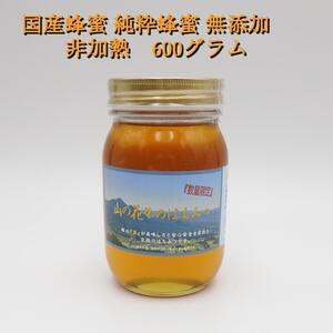 完熟 生蜂蜜　国産蜂蜜 純粋蜂蜜 無添加　非加熱　600グラム　1個