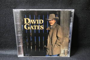 【中古CD】 DAVID GATES デヴィッド・ゲイツ / LOVE IS SEVENTEEN ラヴ・イズ・セヴンティーン / VACM-3026