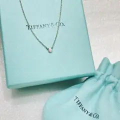 美品 Tiffany&Co PERETTI バイザヤード 925 ネックレス