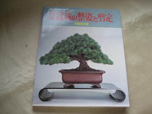 ★図解　盆栽の整姿と剪定　石崎真治　オールカラー版★