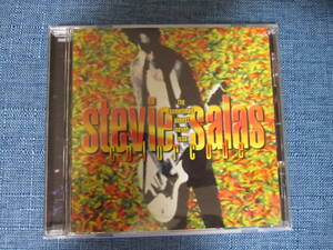 STEVIE SALAS COLORCODE / the sometimes almost never was 　国内盤