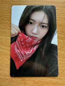 BABYMONSTER（ベイビーモンスター）　ローラ　　1st FULL ALBUM 『 DRIP 』 BANDANA Ver.　封入BANDANA SELFIE PHOTOCARDS