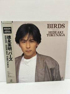 ◎W412◎LP レコード HIDEAKi TOKUNAGA 徳永英明/BIRDS バーズ/輝きながら/帯付/AY28-14