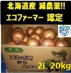 【エコファーマー農家直送】北海道産玉ねぎ 20kg 2Lサイズ 