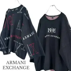 ARMANI EXCHANGE  アルマーニ　ジャガードニット　BIG ニット