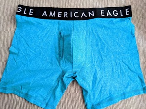 * 2点のみ * AE アメリカンイーグル ボクサーブリーフ トランクス AEO 6" Classic Boxer Brief M / Green パロット *