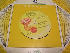 ★Reggae 12inch★TERROR FABULOUS/DROP IT COOL